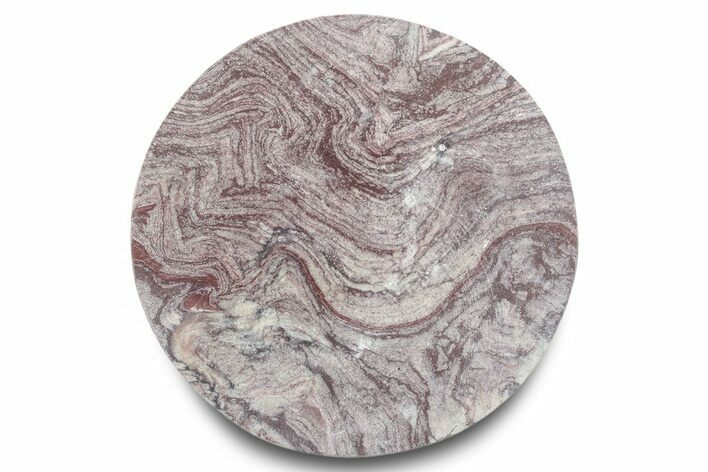 Polished, Neoproterozoic Stromatolite (Conophyton) - Morocco #276099